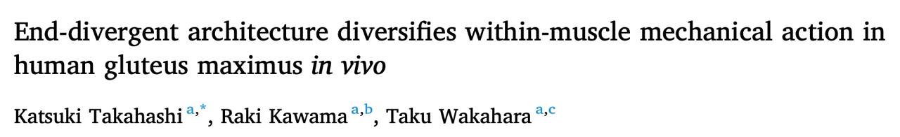 Regional hypertrophy biomechanics
